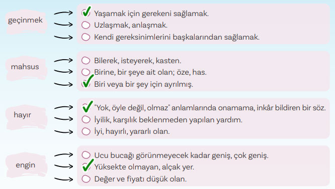 5. Sınıf Türkçe Ders Kitabı Sayfa 87 Cevapları MEB Yayınları