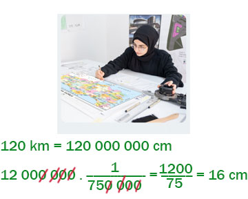 7. Sınıf Matematik Ders Kitabı Sayfa 185 Cevapları EDAT Yayınları