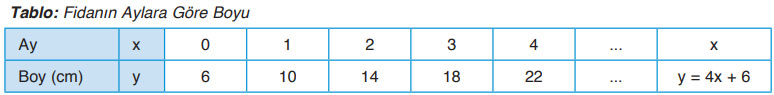 8. Sınıf Matematik Ders Kitabı Sayfa 156 Cevapları ADA Yayıncılık